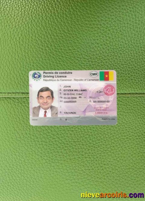 Cameroon driving license photolook